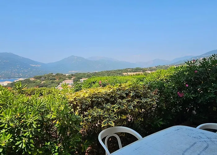 T1 Pinedda, Confort-vue Mer- Calme & Soleil 公寓 *